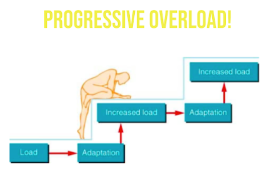 Why Progressive Overload Still Reigns Supreme In Strength Training